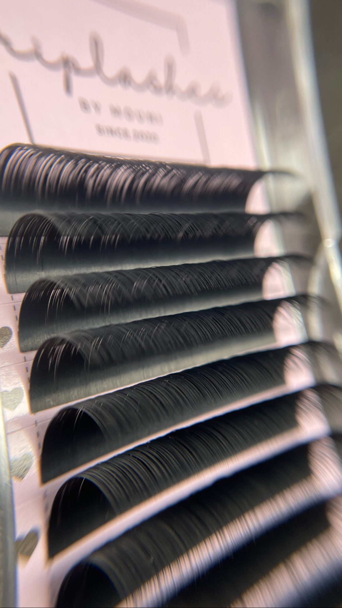 Drip Silk Lash Collection 🌸