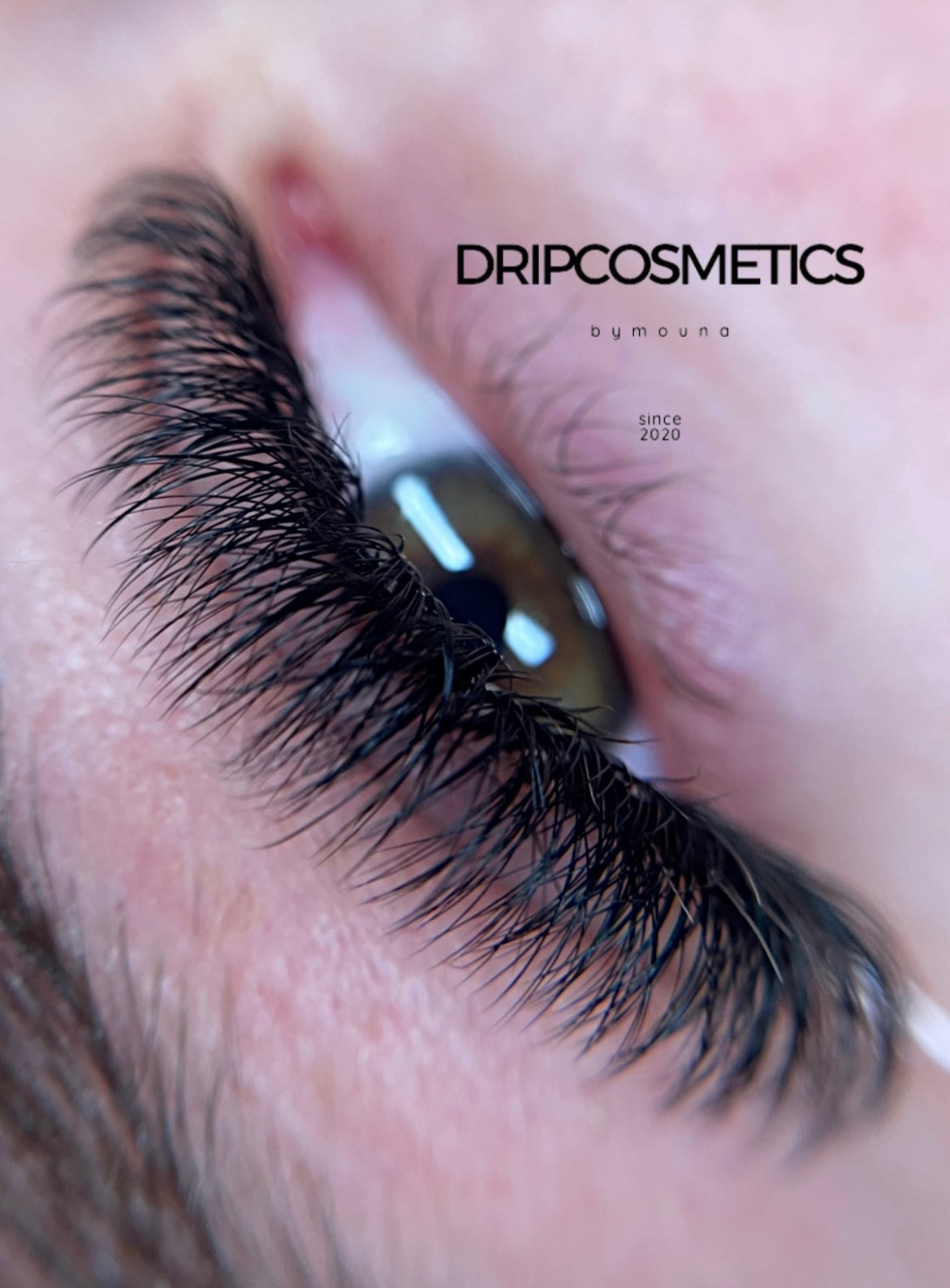 Drip Silk Lash Collection 🌸
