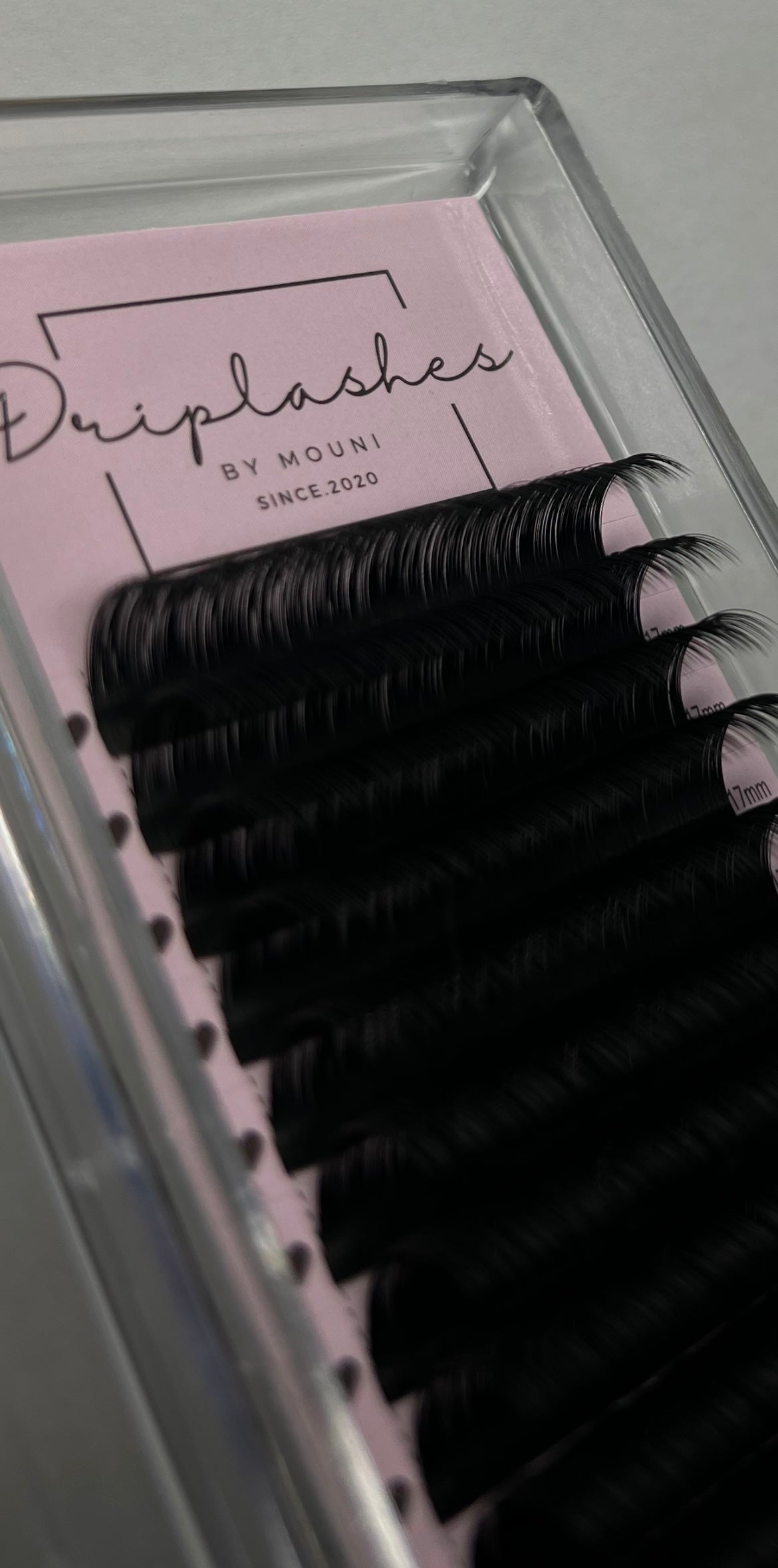 Drip Silk Lash Collection 🌸